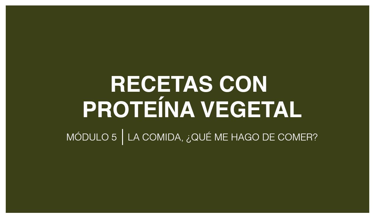 Recetas con proteína vegetal